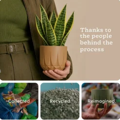 The Echo Planter