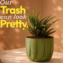 The Echo Planter