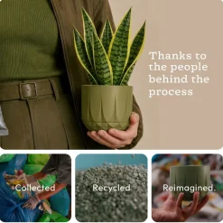 The Echo Planter