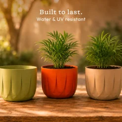 The Echo Planter