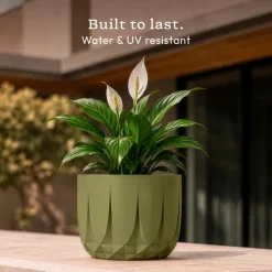 The Echo Planter