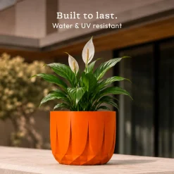 The Echo Planter