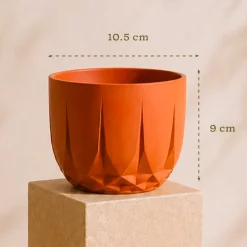 The Echo Planter