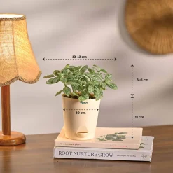The Green Living Combo ( Bundle of 6 )