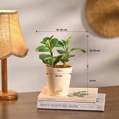 The Green Living Combo ( Bundle of 6 )