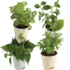 The Low Maintenance Combo ( Bundle of 4 )