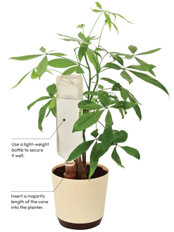 The Watermatic Stake - Easy XL - Pack of 2