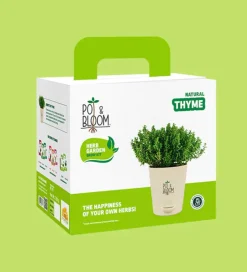 Thyme Grow Kit