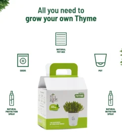 Thyme Grow Kit