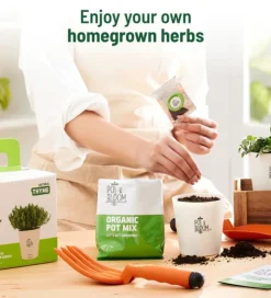 Thyme Grow Kit