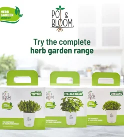 Thyme Grow Kit