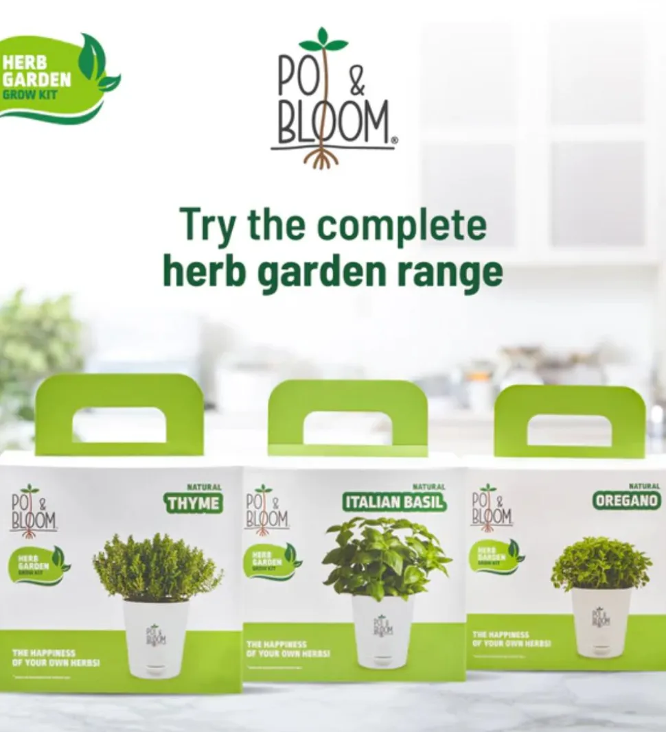 Thyme Grow Kit