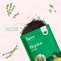 Thyme Seeds