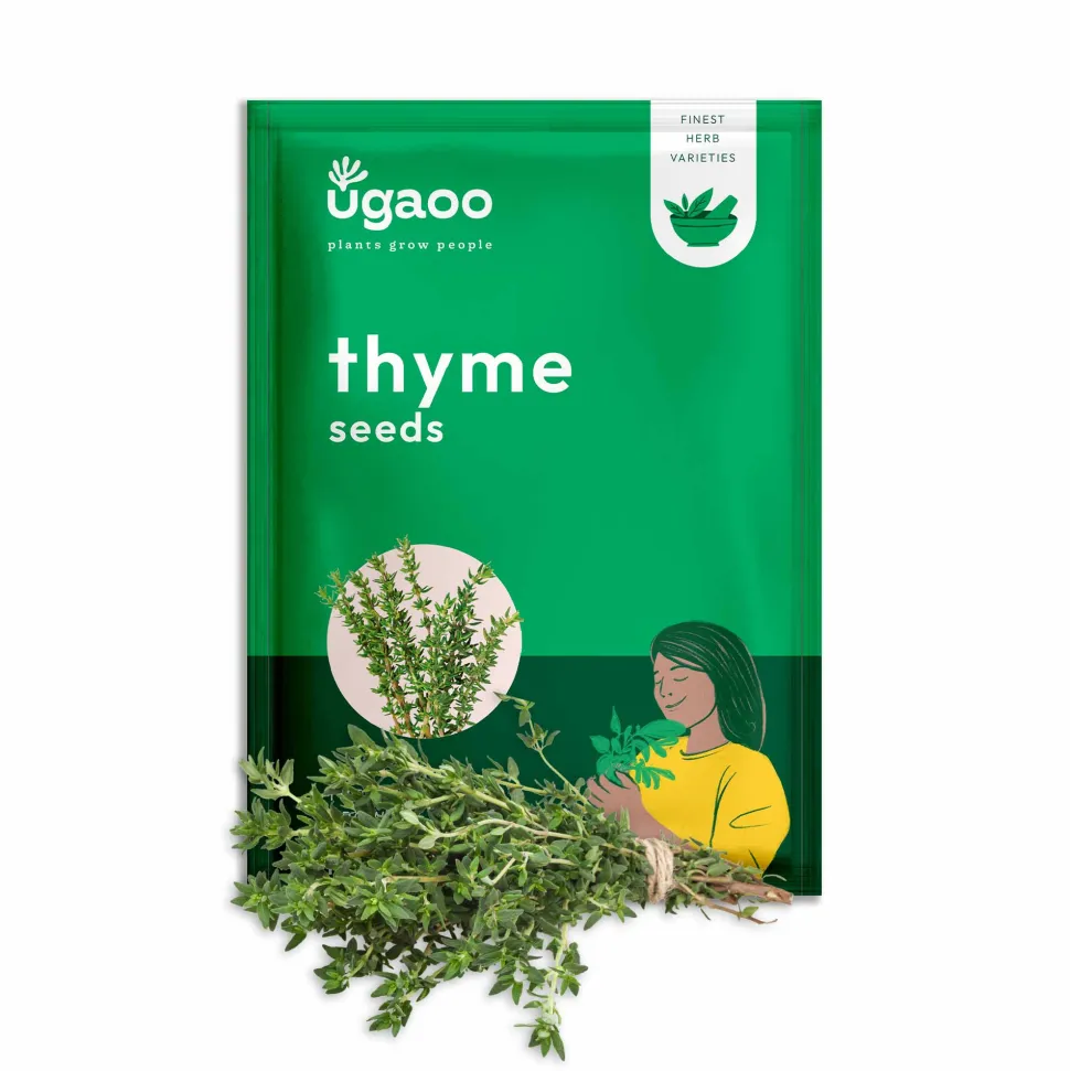 Thyme Seeds