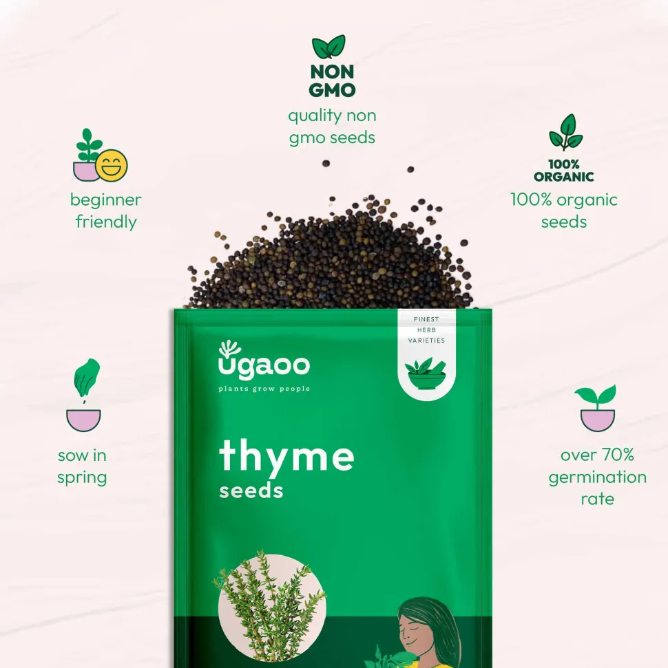 Thyme Seeds