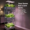 3-Tier Hydroponic Growing System with LED Grow Light