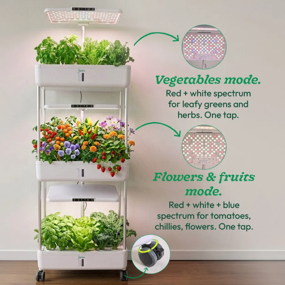 3-Tier Hydroponic Growing System with LED Grow Light