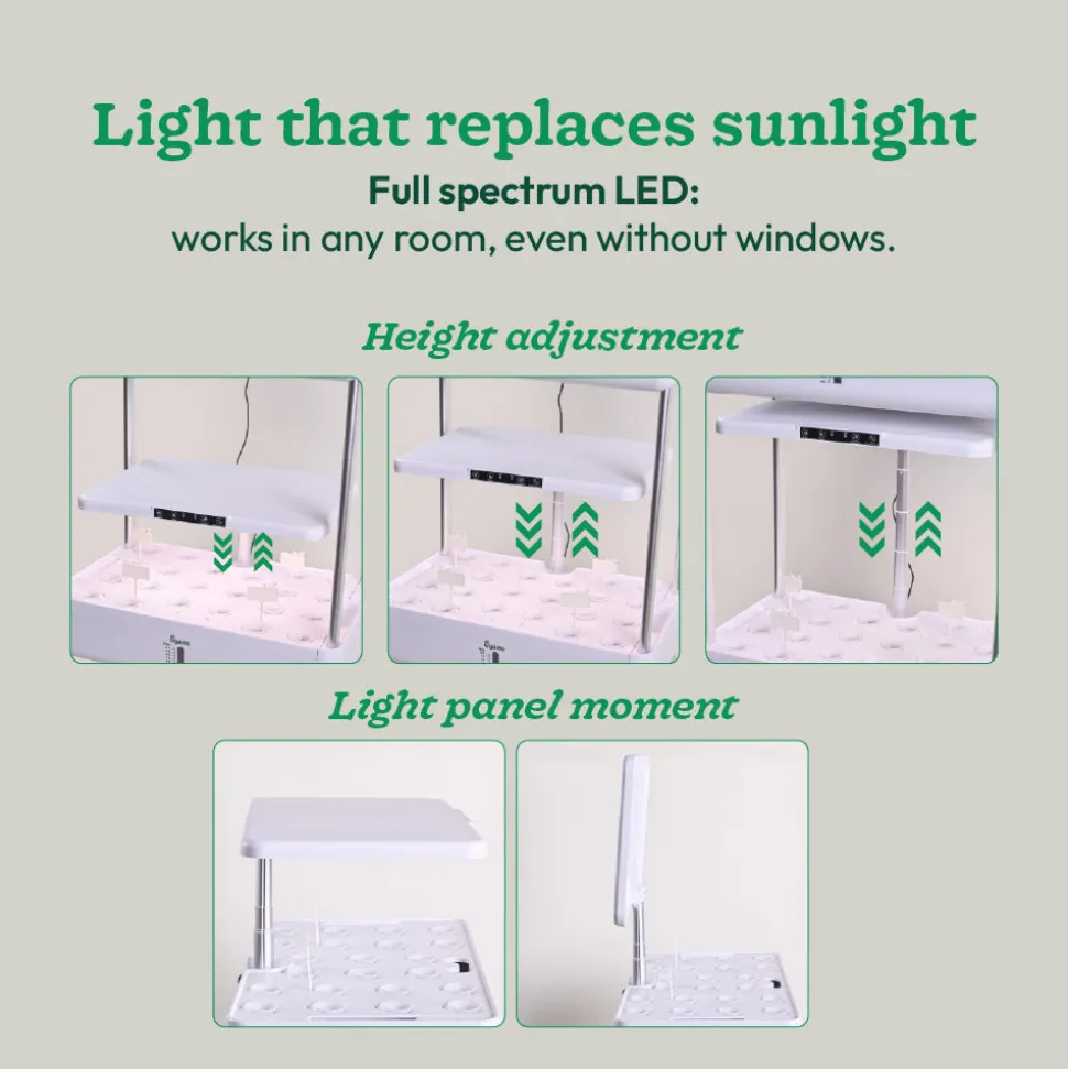 3-Tier Hydroponic Growing System with LED Grow Light