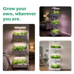 3-Tier Hydroponic Growing System with LED Grow Light