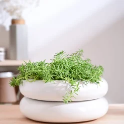 Tiny Kisses Ceramic Planter