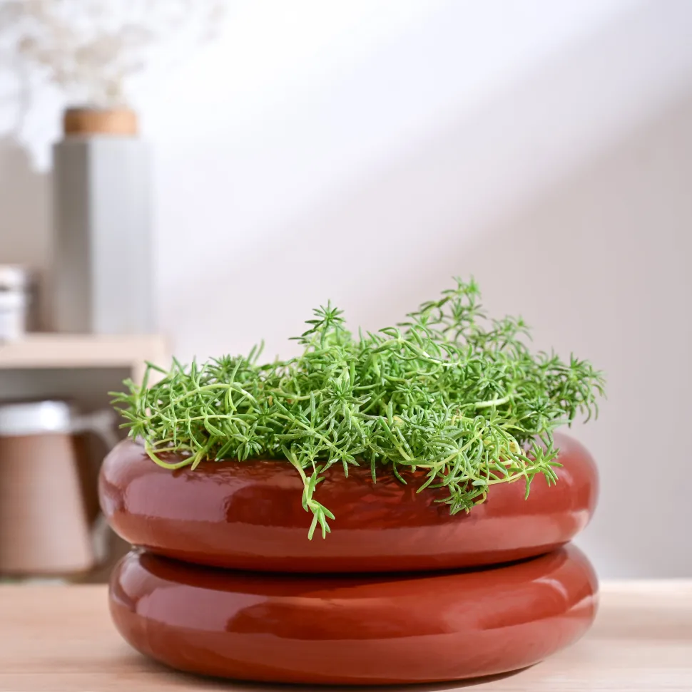 Tiny Kisses Ceramic Planter