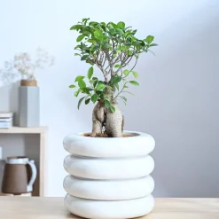 Tiny Kisses Ceramic Planter