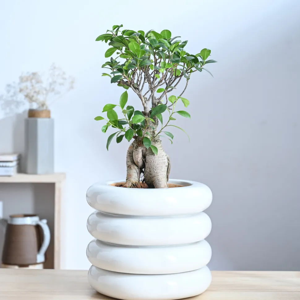 Tiny Kisses Ceramic Planter