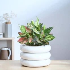 Tiny Kisses Ceramic Planter