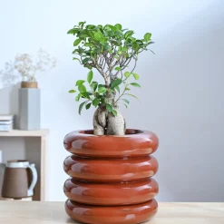 Tiny Kisses Ceramic Planter