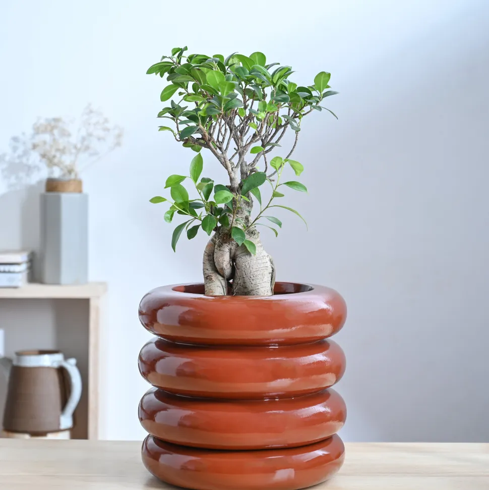 Tiny Kisses Ceramic Planter