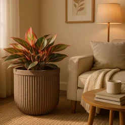 Tokyo Round Planter