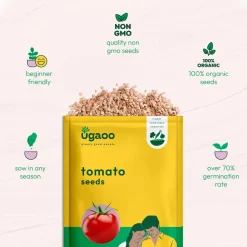 Tomato Seeds