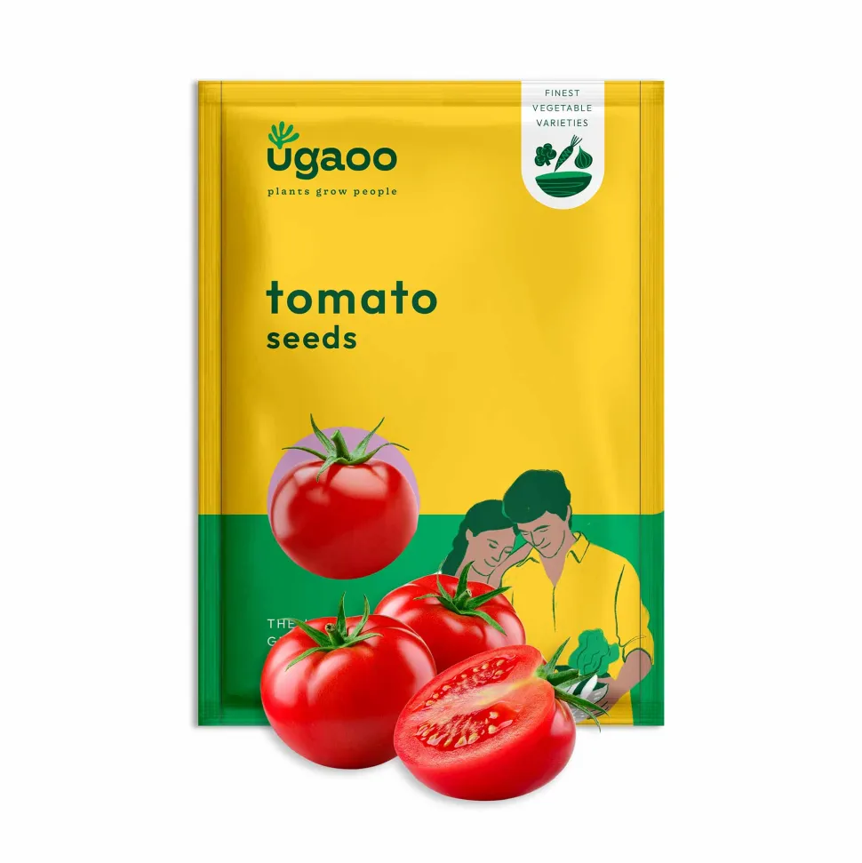 Tomato Seeds