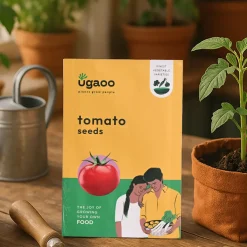 Tomato Seeds