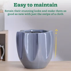 Tranquil Tales Ceramic Planter