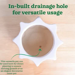Tranquil Tales Ceramic Planter