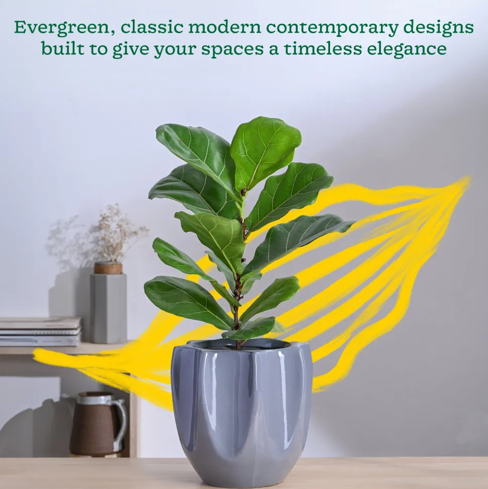 Tranquil Tales Ceramic Planter