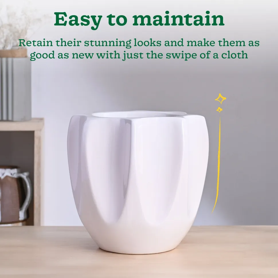 Tranquil Tales Ceramic Planter