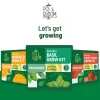 Treasures Basil Kit