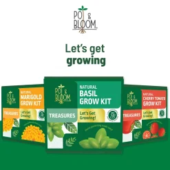 Treasures Basil Kit