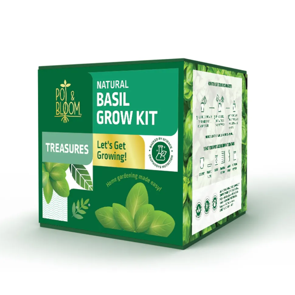 Treasures Basil Kit