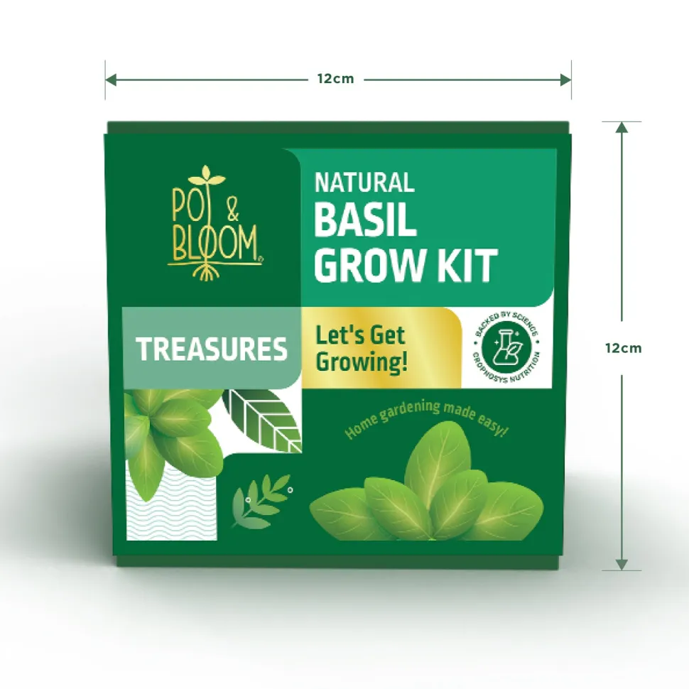 Treasures Basil Kit
