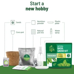 Treasures Basil Kit