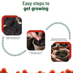 Treasures Cherry Tomato Kit