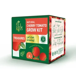 Treasures Cherry Tomato Kit