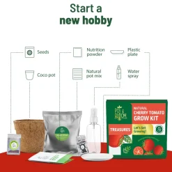 Treasures Cherry Tomato Kit