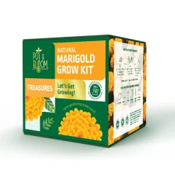 Treasures Marigold Kit