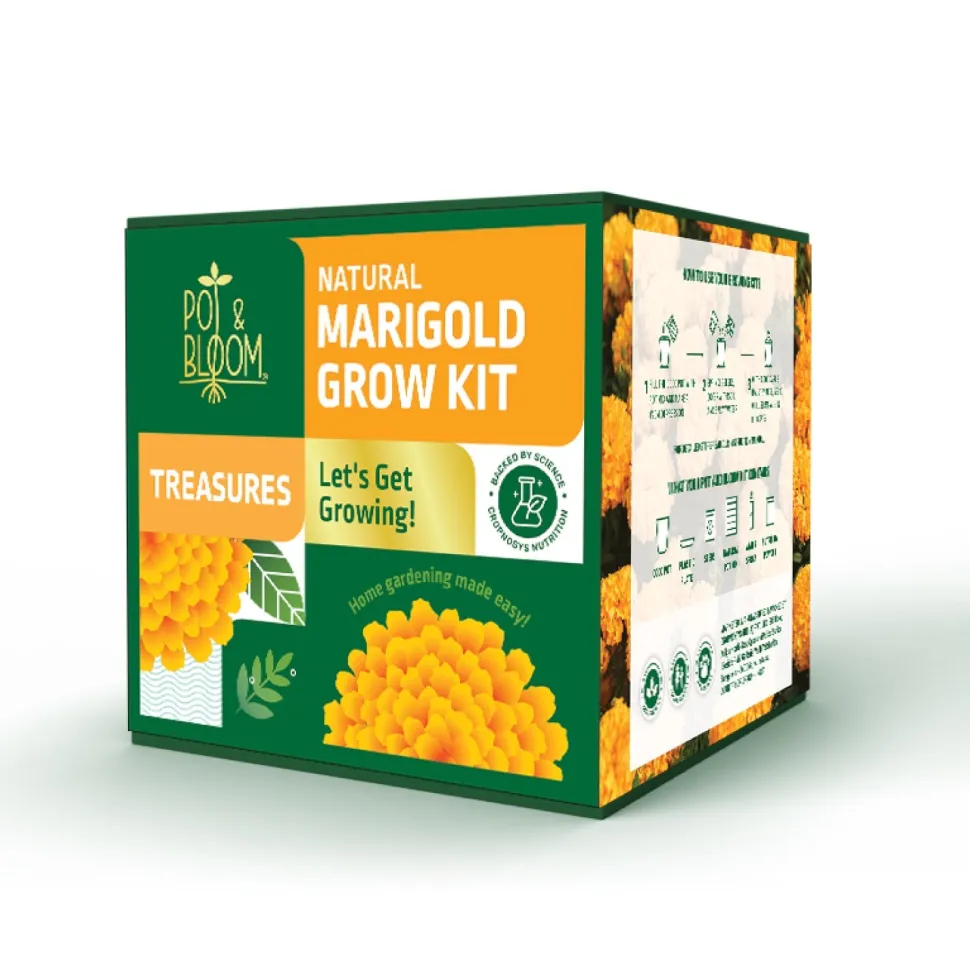 Treasures Marigold Kit