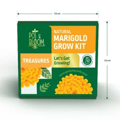 Treasures Marigold Kit