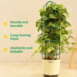 Trellis Plant Support Stands - Set of 3